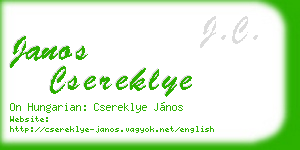 janos csereklye business card