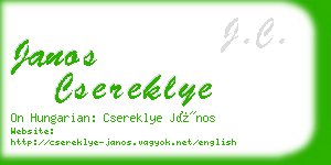 janos csereklye business card